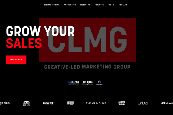 clmg-casestudy